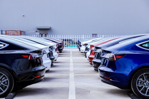 特斯拉全新车型年底量产 尺寸小于Model 3,中国制造或售16万起